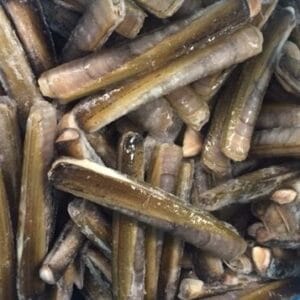 Frozen Razor Clams (Ensis Directus)