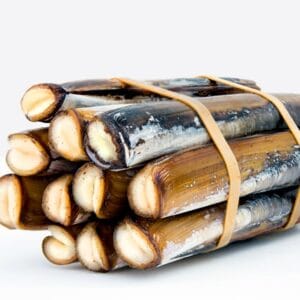 Live Razor Clams (Ensis Siliqua)