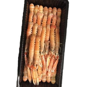 Frozen Langoustine